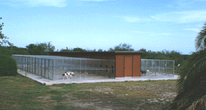 dogs.GIF (32164 bytes)