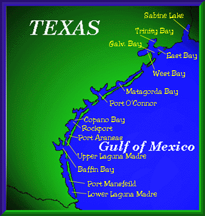 texas14.GIF (58423 bytes)